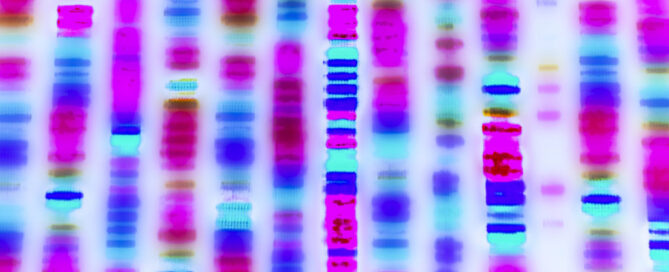 close up of dna sequence