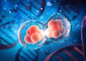 stem cell therapy regulations